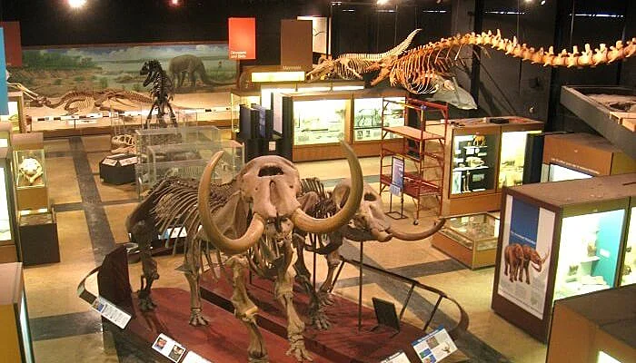 Regional museum of natural history