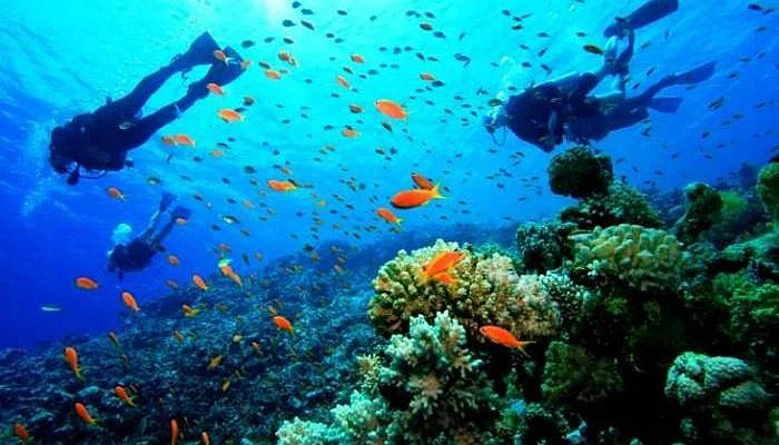 Scuba Diving and Snorkelling- popular things to do in Andaman