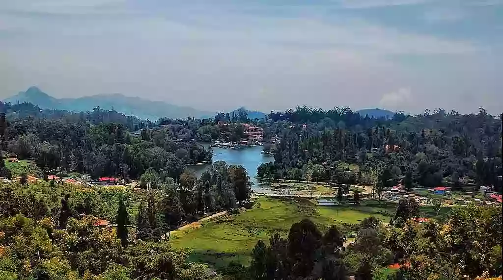 View Of a Lake From Top