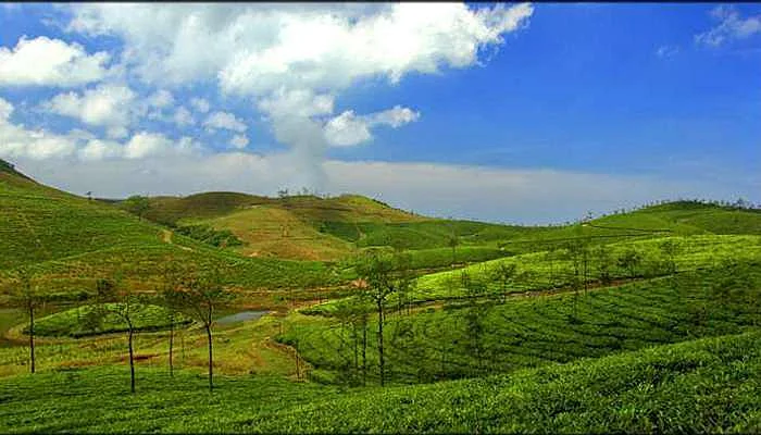 The beautiful little hamlet of Vagamon is an offbeat place to visit in Kerala