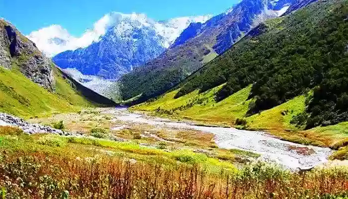 The beautiful Valley of flowers has to be on your list of places to visit in Uttarakhand