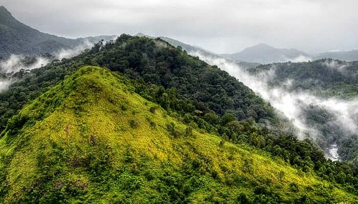 Silent Valley National Park – Soaking In The Nature And Silence