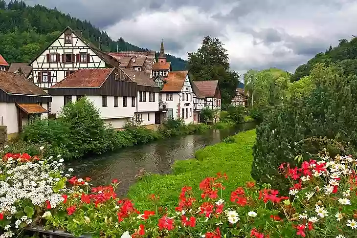 The Black Forest