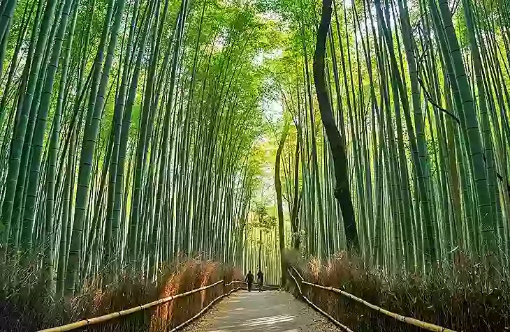 Historic Kyoto