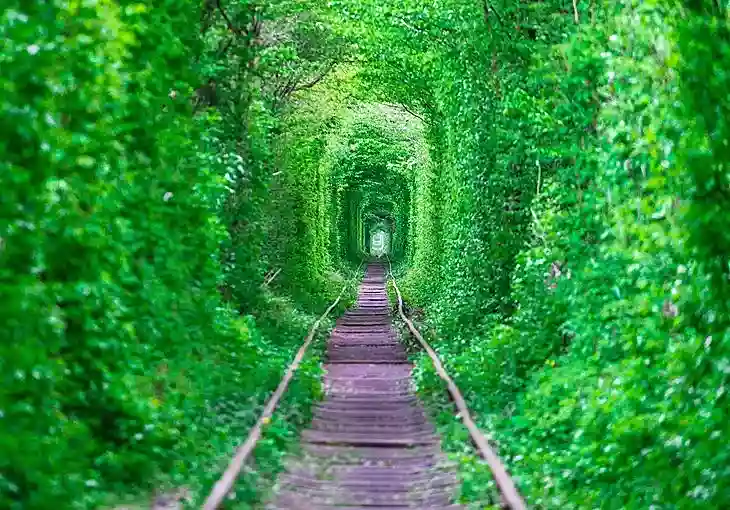 Tunnel of Love in the spring, Klevan